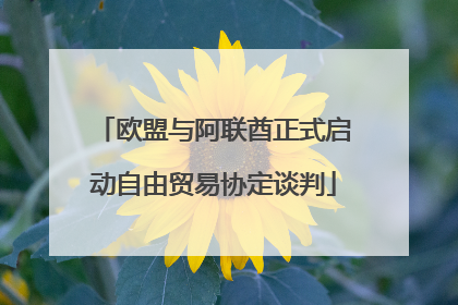 欧盟与阿联酋正式启动自由贸易协定谈判