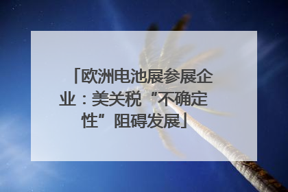 欧洲电池展参展企业：美关税“不确定性”阻碍发展