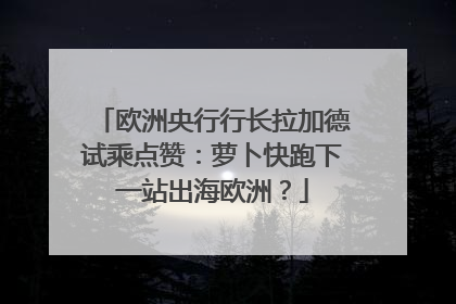 欧洲央行行长拉加德试乘点赞：萝卜快跑下一站出海欧洲？