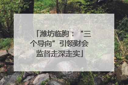 潍坊临朐：“三个导向”引领财会监督走深走实