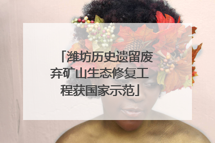 潍坊历史遗留废弃矿山生态修复工程获国家示范