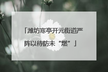 潍坊寒亭开元街道严阵以待防未“燃”