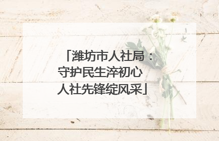 潍坊市人社局：守护民生淬初心 人社先锋绽风采