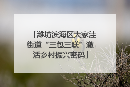 潍坊滨海区大家洼街道“三包三联”激活乡村振兴密码
