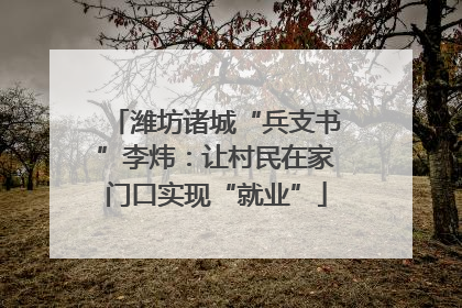 潍坊诸城“兵支书”李炜：让村民在家门口实现“就业”