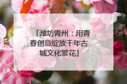 潍坊青州：用青春创意绽放千年古城文化繁花