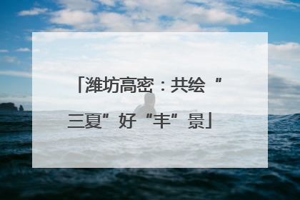 潍坊高密：共绘“三夏”好“丰”景