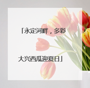 永定河畔，多彩大兴西瓜迎夏日