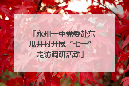 永州一中党委赴东瓜井村开展“七一”走访调研活动