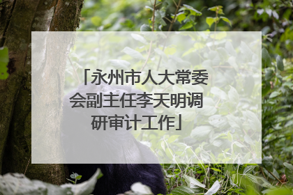永州市人大常委会副主任李天明调研审计工作