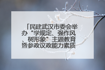 民建武汉市委会举办“学规定、强作风、树形象”主题教育暨参政议政能力素质提升培训班