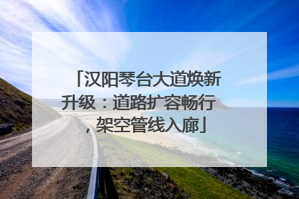 汉阳琴台大道焕新升级：道路扩容畅行，架空管线入廊
