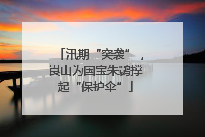 汛期“突袭”，崀山为国宝朱鹮撑起“保护伞”