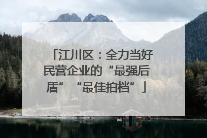 江川区：全力当好民营企业的“最强后盾”“最佳拍档”