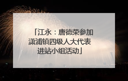 江永：唐德荣参加潇浦镇四级人大代表进站小组活动