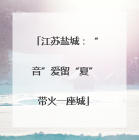 江苏盐城：“音”爱留“夏” 带火一座城