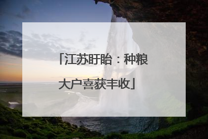 江苏盱眙：种粮大户喜获丰收