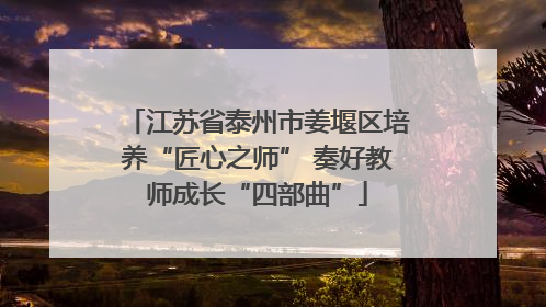 江苏省泰州市姜堰区培养“匠心之师” 奏好教师成长“四部曲”