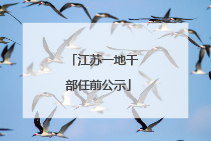 江苏一地干部任前公示