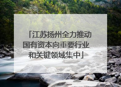 江苏扬州全力推动国有资本向重要行业和关键领域集中