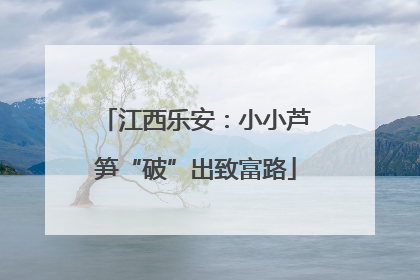 江西乐安：小小芦笋“破”出致富路