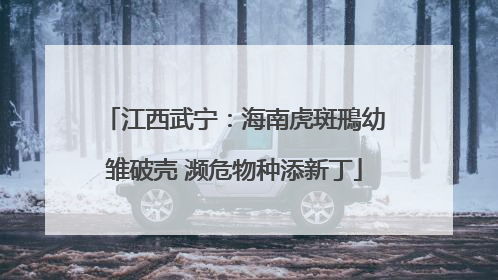 江西武宁：海南虎斑鳽幼雏破壳 濒危物种添新丁