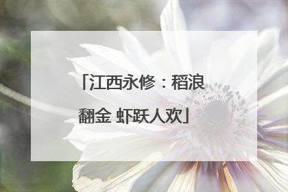 江西永修：稻浪翻金 虾跃人欢