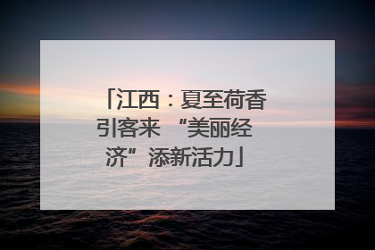 江西：夏至荷香引客来 “美丽经济”添新活力