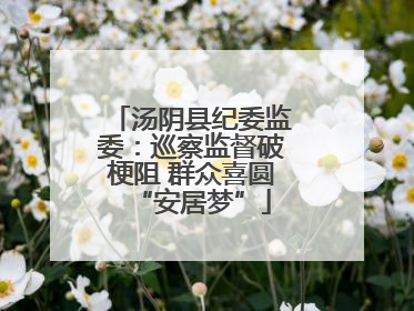 汤阴县纪委监委：巡察监督破梗阻 群众喜圆“安居梦”