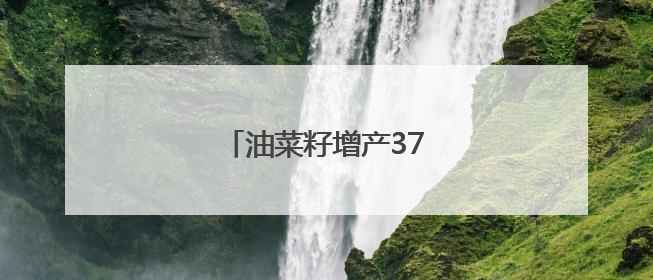 油菜籽增产37%是如何实现的