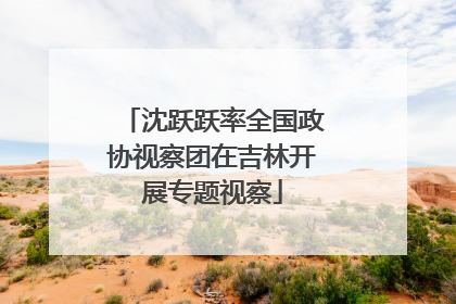 沈跃跃率全国政协视察团在吉林开展专题视察