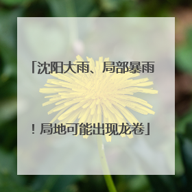 沈阳大雨、局部暴雨！局地可能出现龙卷