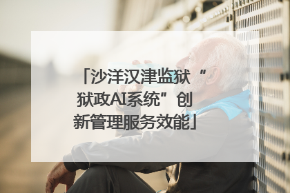 沙洋汉津监狱“狱政AI系统”创新管理服务效能