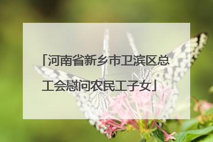 河南省新乡市卫滨区总工会慰问农民工子女