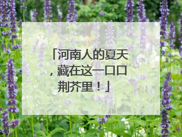 河南人的夏天，藏在这一口口荆芥里！