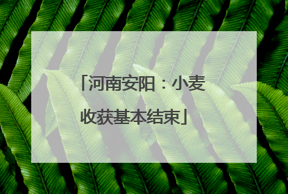 河南安阳：小麦收获基本结束
