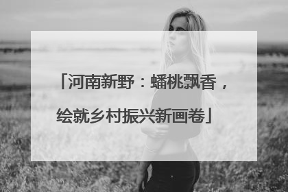 河南新野：蟠桃飘香，绘就乡村振兴新画卷