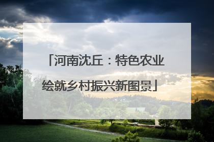 河南沈丘：特色农业绘就乡村振兴新图景