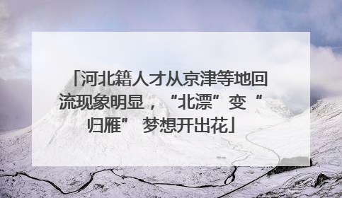 河北籍人才从京津等地回流现象明显，“北漂”变“归雁” 梦想开出花