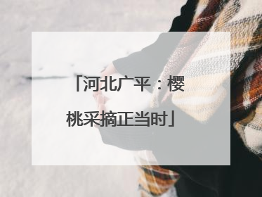 河北广平：樱桃采摘正当时