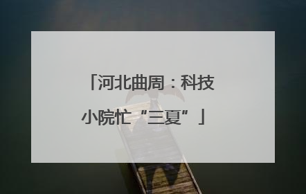 河北曲周：科技小院忙“三夏”
