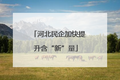 河北民企加快提升含“新”量