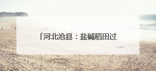 河北沧县：盐碱稻田过端午 特色农旅迎客来
