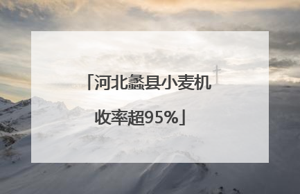 河北蠡县小麦机收率超95%