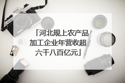 河北规上农产品加工企业年营收超六千八百亿元