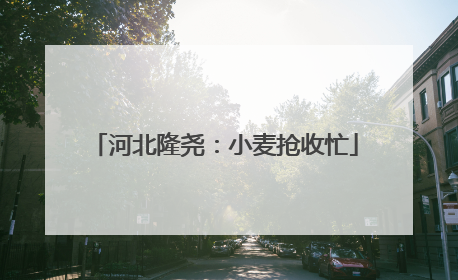 河北隆尧：小麦抢收忙