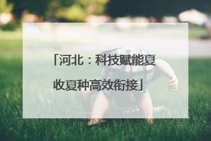 河北：科技赋能夏收夏种高效衔接
