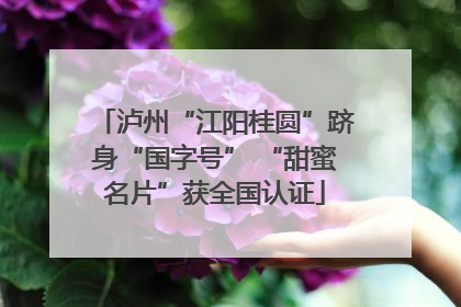 泸州“江阳桂圆”跻身“国字号” “甜蜜名片”获全国认证