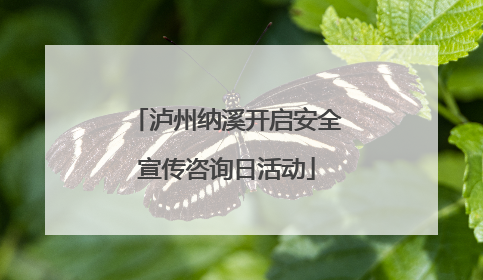 泸州纳溪开启安全宣传咨询日活动