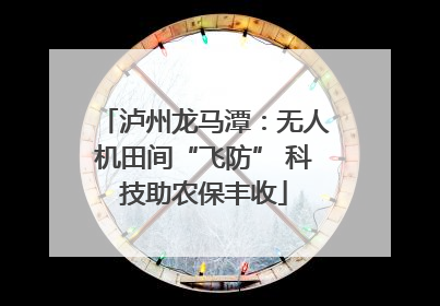 泸州龙马潭：无人机田间“飞防” 科技助农保丰收